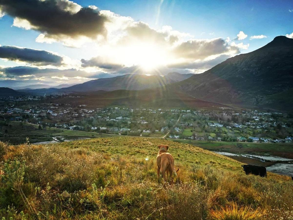Studio Frangipani Solar Powered Otel Greyton Dış mekan fotoğraf